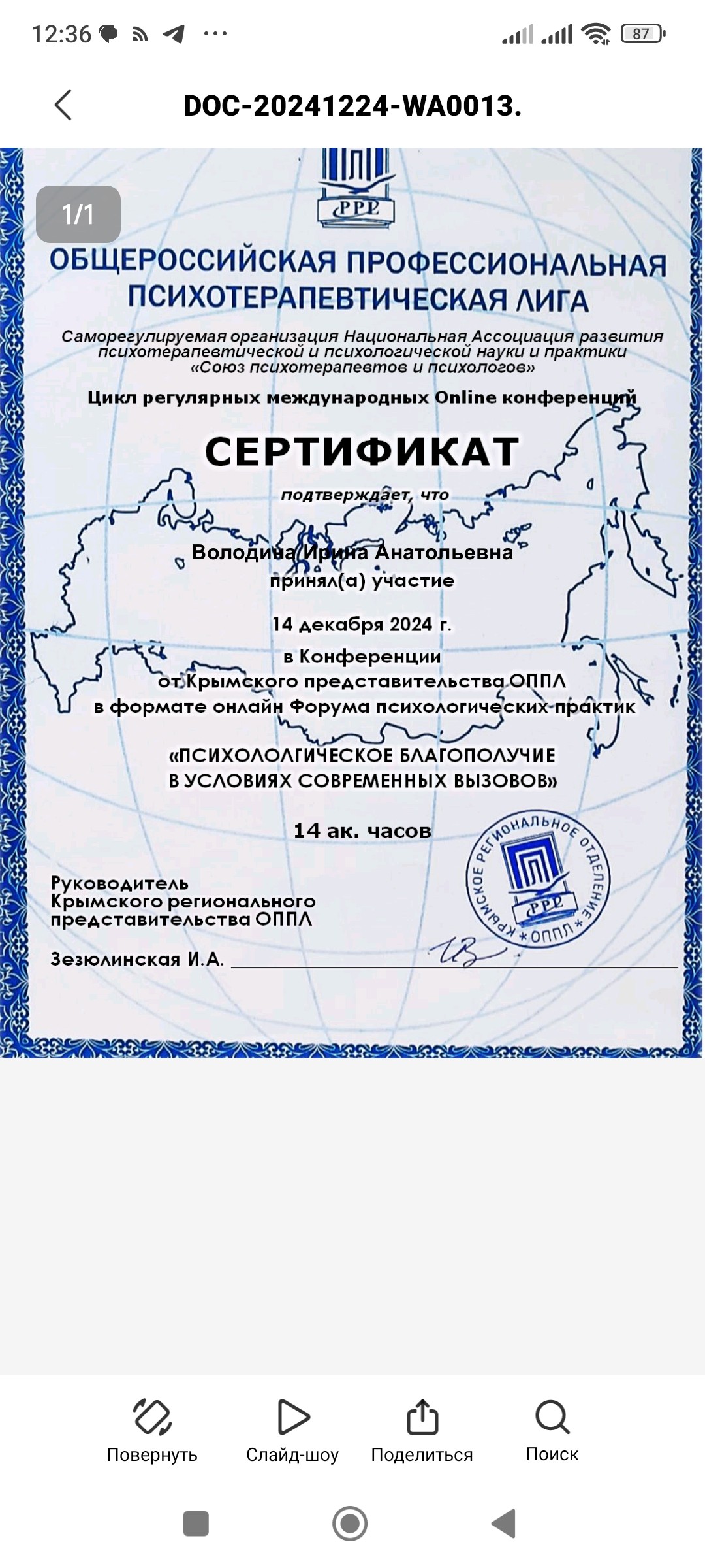 Портфолио